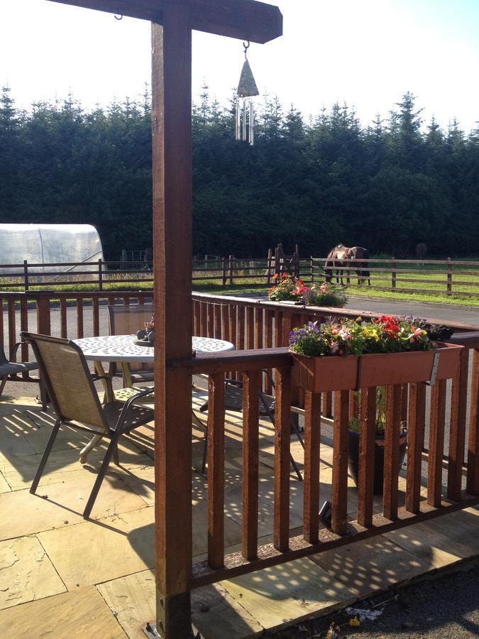 Yeats Lodge B&B Drumcliff Buitenkant foto